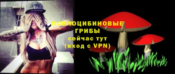 таблы Армянск