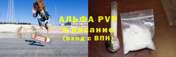 сатива Алзамай