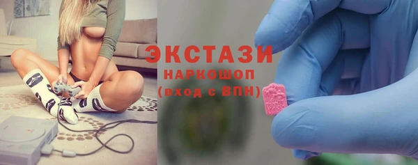 PSILOCYBIN Аркадак