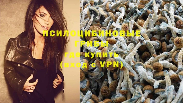 таблы Армянск