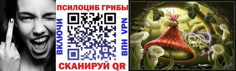 Галлюциногенные грибы Psilocybe Медвежьегорск
